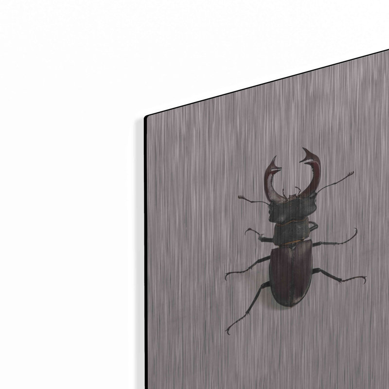 Lucanus Cervus par Incado - peinture sur métal sans cadre, H 16 po x l 12 po x P 0,13 po