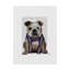 «English Bulldog with Scarf on Text», reproduction d'impression sur toile tendue-33421688