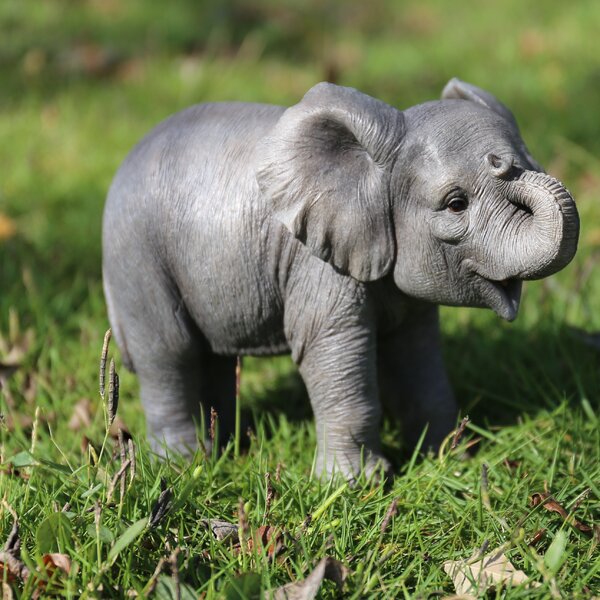 tiny baby elephant