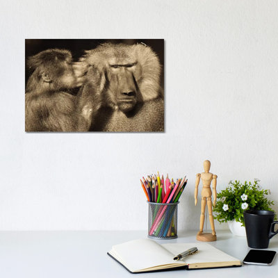 Talk by Goran Anastasovski - Wrapped Canvas Print