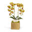 Orchid Faux Floral in Planter-1846719861