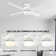 Poppe 52'' Ceiling Fan with LED Lights