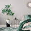 66 plantes-97701035