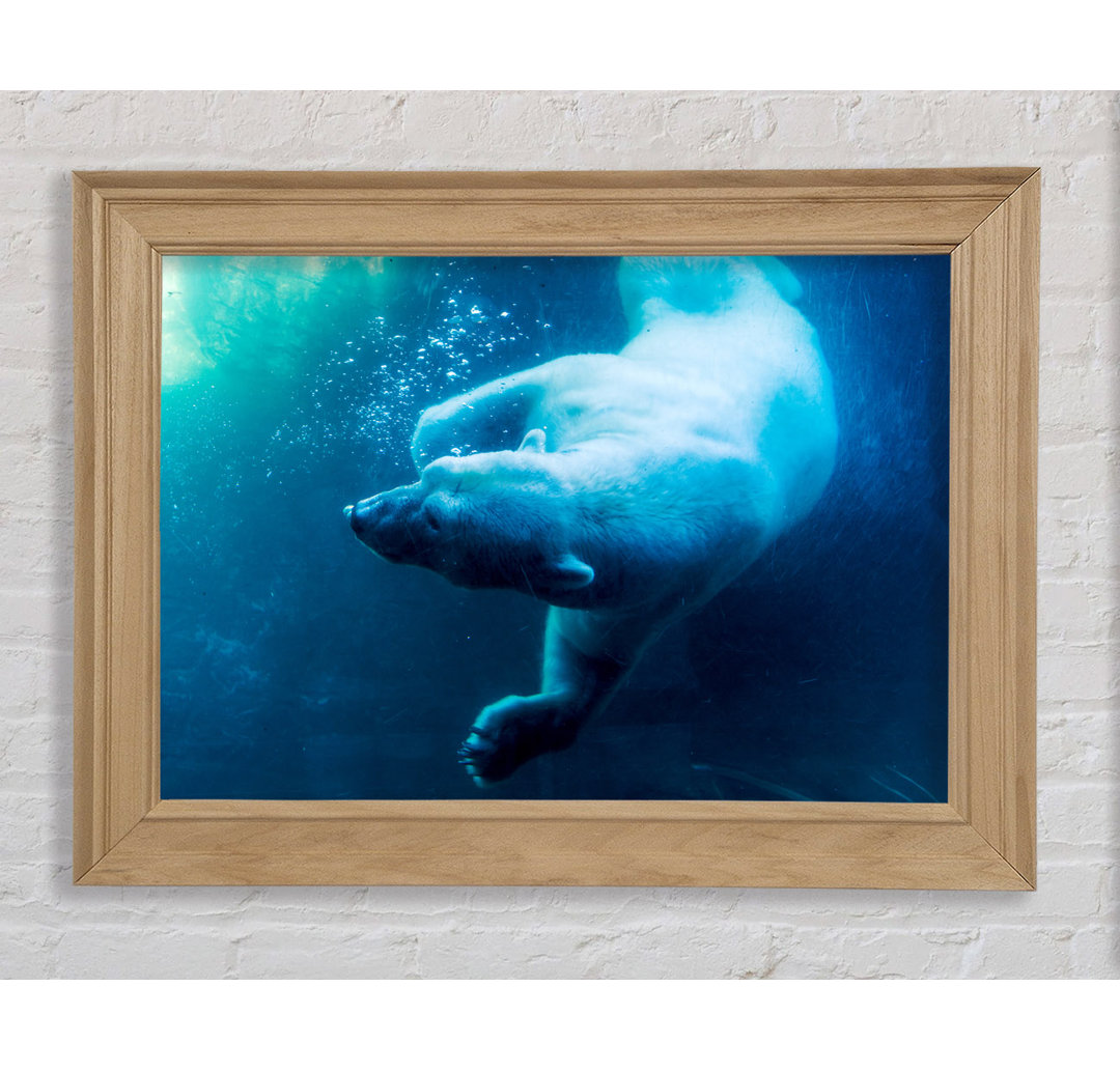 Gerahmtes Poster Polar Bear Swimming