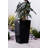Self Watering Plastic Pot Planter-107316308
