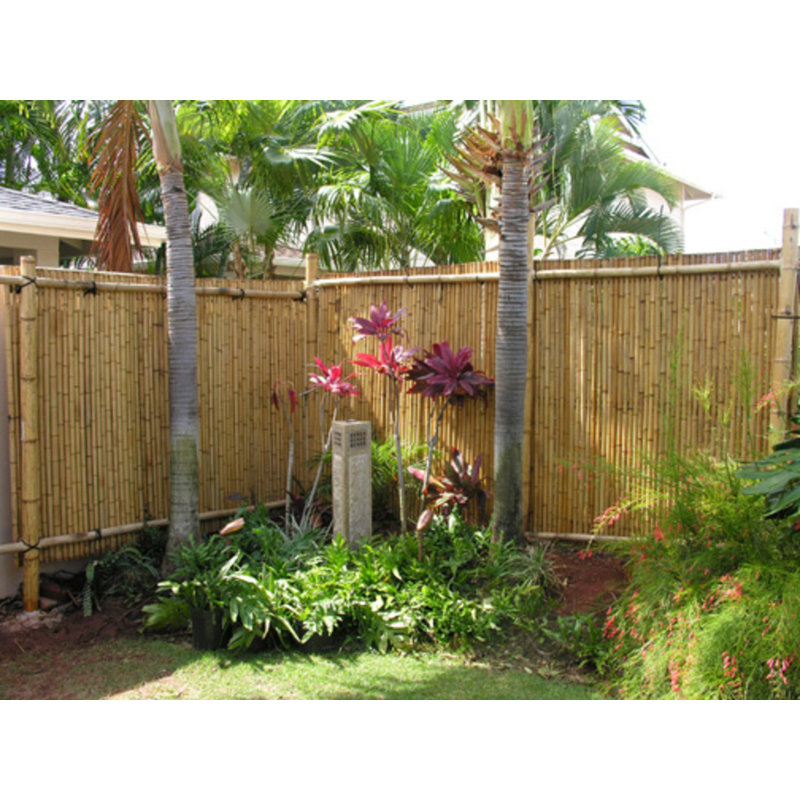 Clôture en bambou Tonkin, H 4 pi x l 8 pi x P 0,75 po, Brun clair