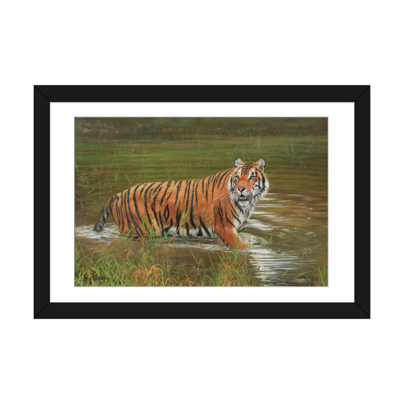 « amur tiger rerefroidissant off », impression sur toile, H 16 po x l 24 po x P 1 po, Papier d'art encadré noir, Blanc