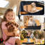 Dog House-1892068802