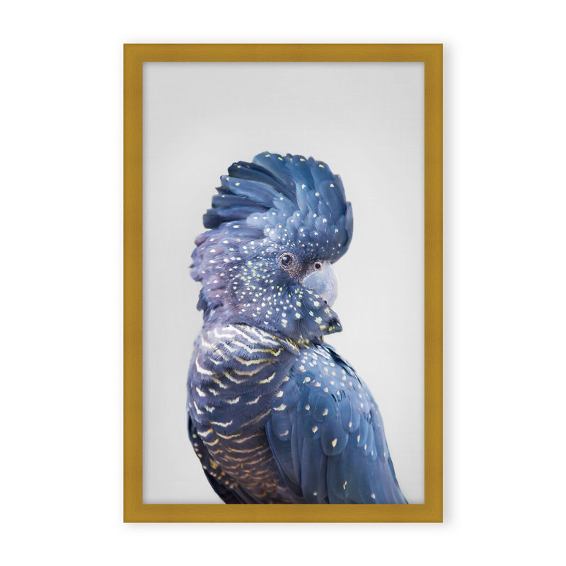 Nature Inspired Black Cockatoo by  - Picture Frame Photograph on Paper, 48" H x 32" W x 1.125" D, Framed Matted Print, Black