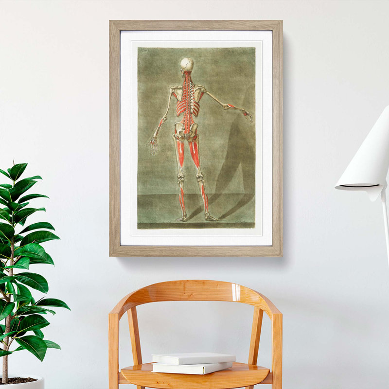 Anatomical Illustration of a Male No. 8 by Gautier-Dagoty - Picture Frame Painting Print, 87cm H x 62cm W x 2cm D, Oak Framed