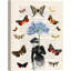 Lady Of Butterflies by Stef Lamanche - Wrapped Canvas Print-889771904