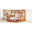 Lit superposé simple en noyer avec main courante et espace de rangement pratique-816047551-816047550