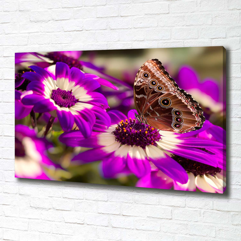 Butterfly On A Flower - Wrapped Canvas Print