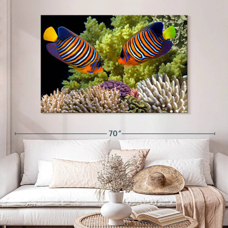 Brampt Red Sea Reef Regal Angelfish, 34" H x 51" W