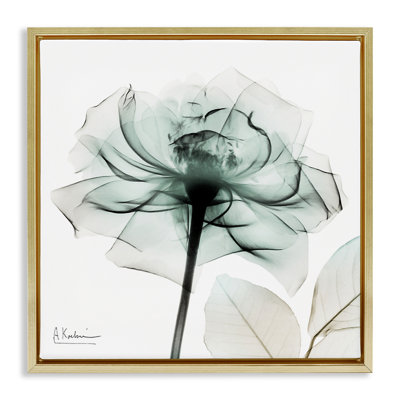 Cadre flottant transparent avec fleurs en fleurs, design par Albert Koetsier