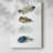 Feather Collection -Gallery Wrapped Cavas-2037698349