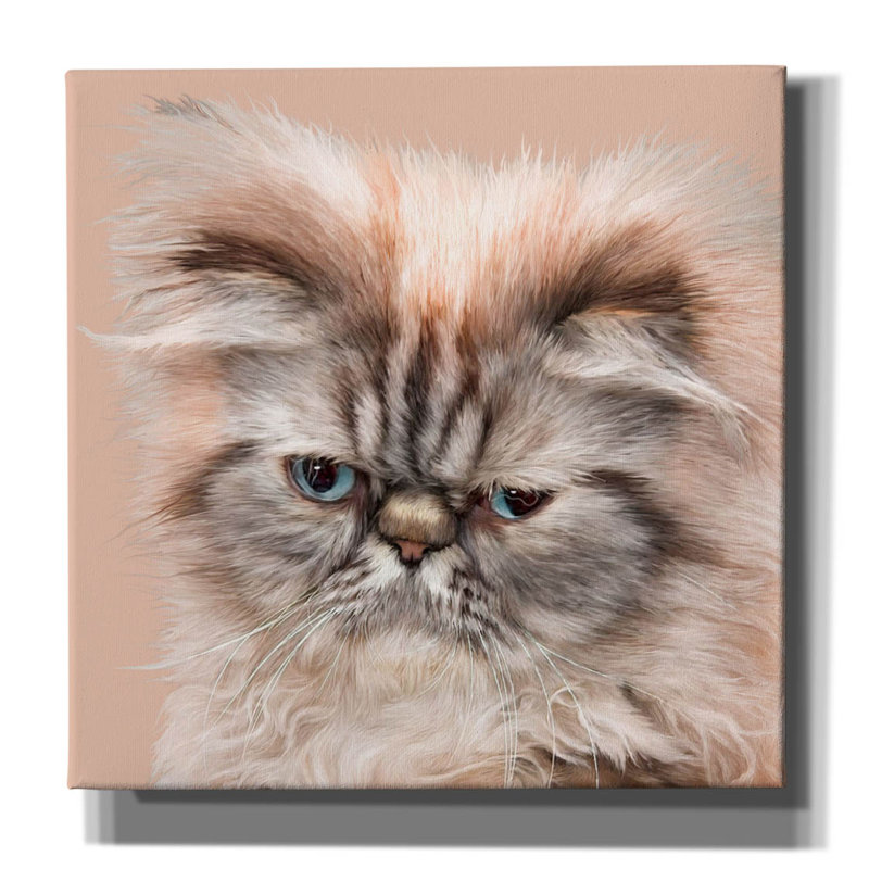«Persian Cat Face Bf» par Carol Cavalaris, art mural sur toile, H 12 po x l 12 po x P 0,75 po