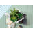4.5'' Faux Succulent Plant in Cement Planter