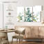 Eucalyptus blanc Harnek II-108007128