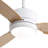 Ladontay 3-ABS Blade Modern Ceiling Fan with LED Light and Remote Control-2059479701-2076660662