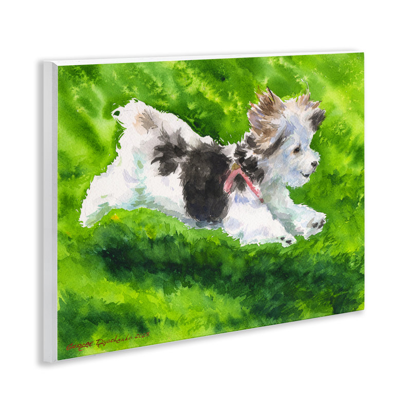 Plaque de course Happy Maltipoo, design par George Dyachenko