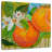 Yarlin Florida Oranges-109202809