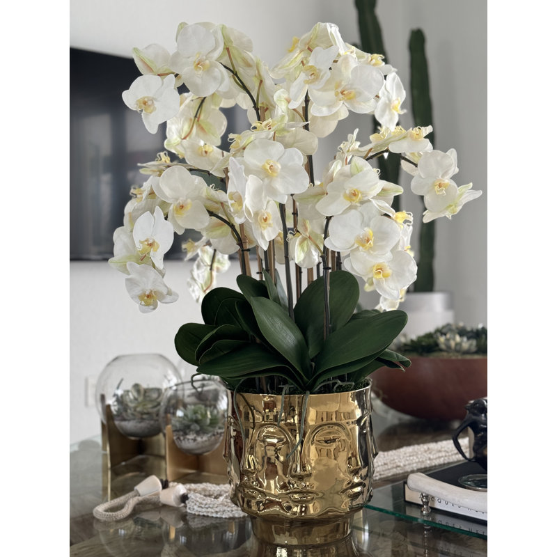 Orchid Floral Arrangement in Vase
