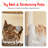 Tenley 101.6'' H Cat Tree-980466673