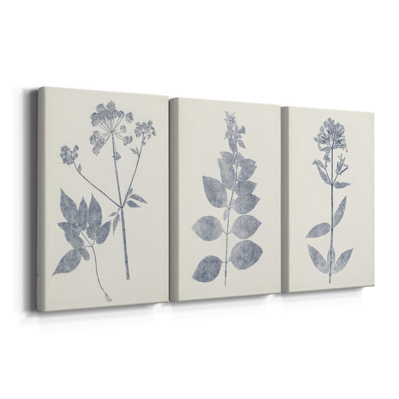Marine Botanicals IV - Toile tendue avec châssis sur mesure - 3 pièces, H 12 po x l 24 po