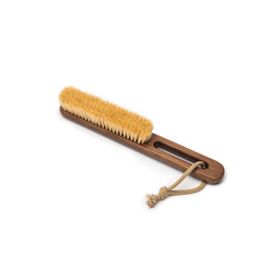 Clothing Brush