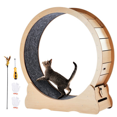 Roue d'exercice jaune pour chat 43,3 po, tapis roulant en bois avec panneau en bois de 0,5 po / 12 mm, espacement de 0,2 po pour éviter d'endommager les pattes, base et rail élargis, réduction silencieuse du bruit, supportant les chats jusqu'à 25 lb d'épaisseur