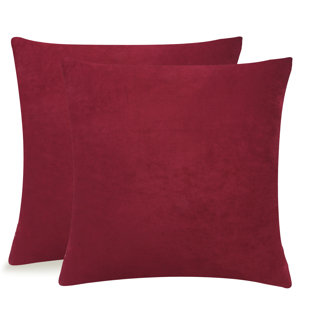  Throw Pillow Cover & Insert (Set of 2)