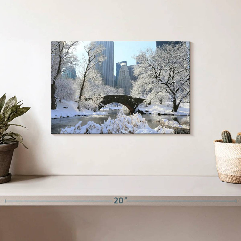 Kavia Snowy Central Park, NY, H 8 po x l 12 po