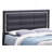 Queen Bed , Black