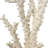 Watchet Polystone Coral Decorative Cream Sculpture with Clear Acrylic Base