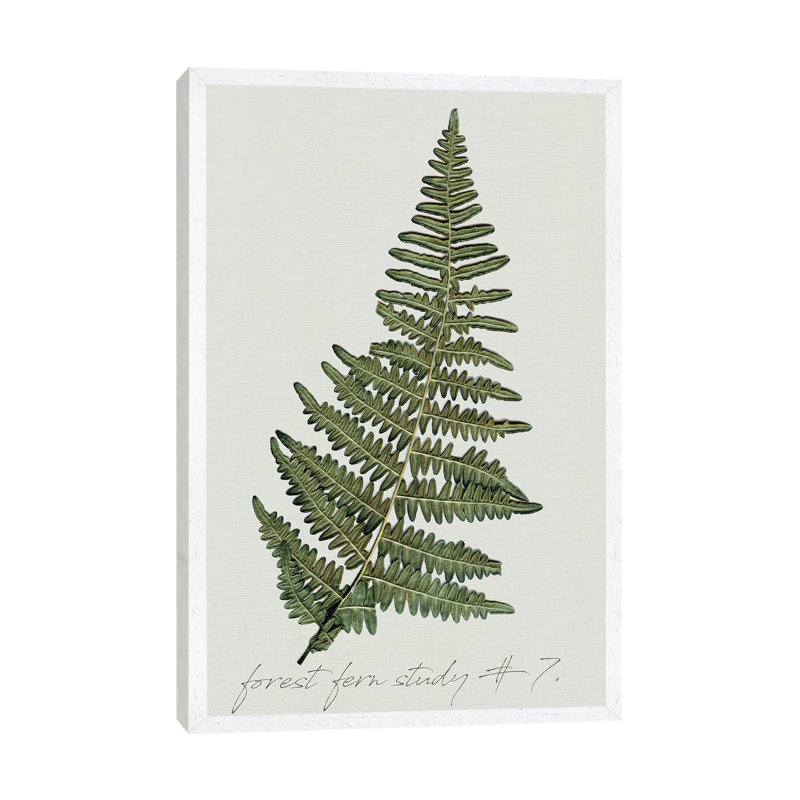 Fern Studies II by Carol Robinson - Painting on Canvas, 66.04 cm H x 45.72 cm W, White Framed