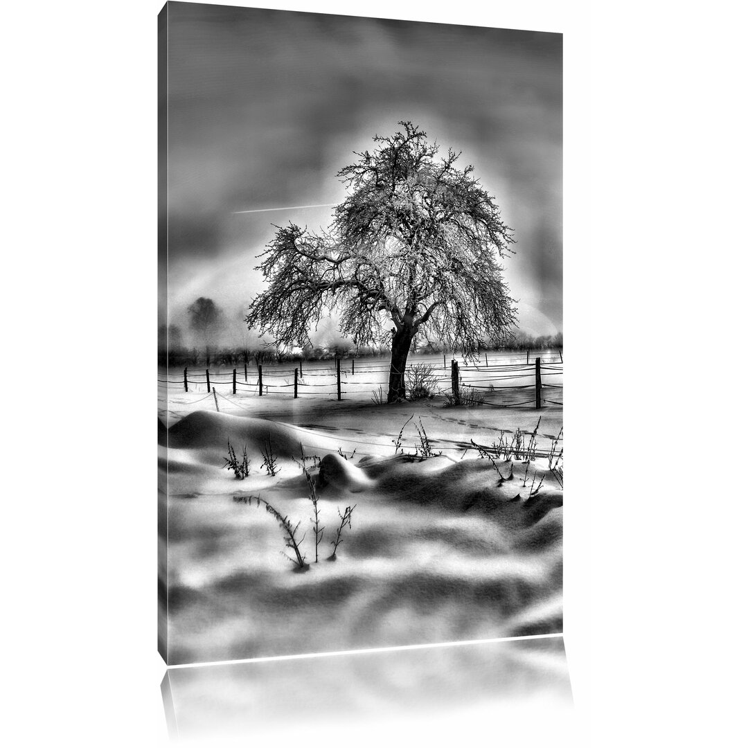 Leinwandbild Baum in Winterlandschaft in Monochrom