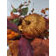 Arrangement floral Autumn Days Are Best