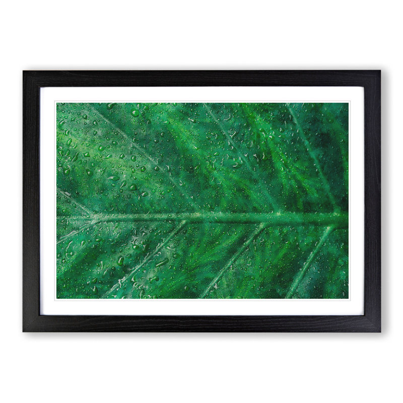 Green Leaf Pattern - Framed Print, Black Framed, 48cm H x 65cm W x 2cm D