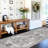 Washable Area Rugs - Large Rugs for Living Room Stain Resistant Carpet Vintage Rugs for Bedroom with Non Slip Backing Home Decor Floor Decoration Mat ( Grey)-264822893