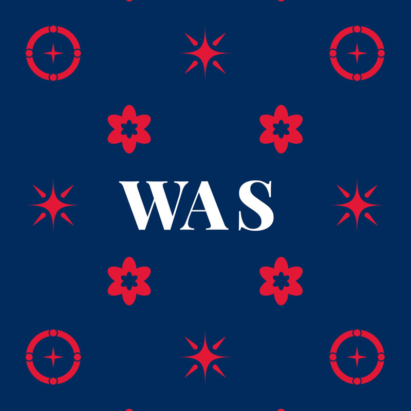 Coussin Washington