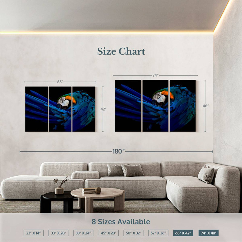 Brampt Majestic Macaw, 42" H x 65" W