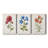 " Botanical I " 3 - Pieces-1377739907