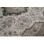 Oriental Area Rug in Ivory/Black
