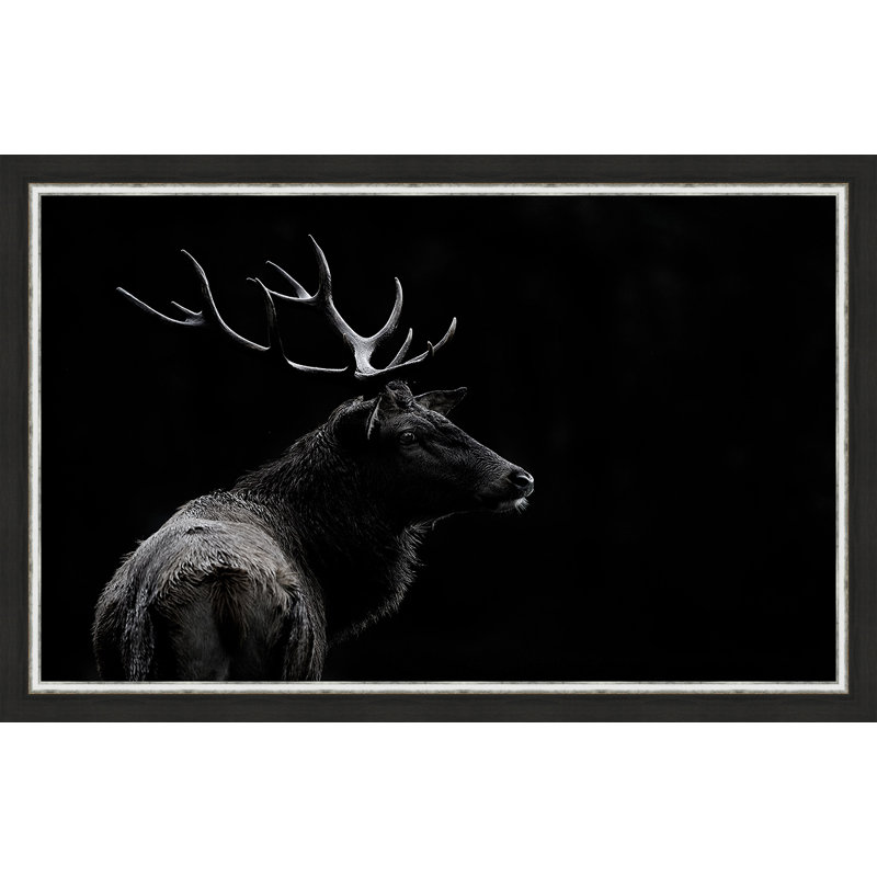 « the cerf âme », reproduction d’impression sur toile tendue encadrée