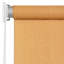 Semi Sheer-766224255-766224249
