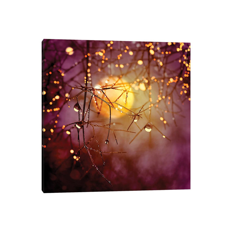 Amber Moon - Wrapped Canvas Print, 45.72 cm H x 45.72 cm W x 3.175 cm D