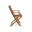 Nayoun Folding Garden Chairs Set of 2-1914154745-2110955503