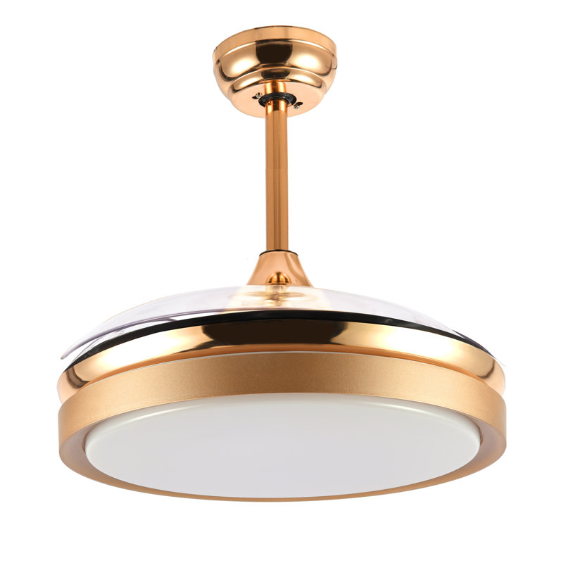 Maryann 42'' Retractable Ceiling Fan DC Motor with LED Lights and Remote, French Gold with White Blades