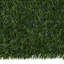 Plant-129932174-129932178